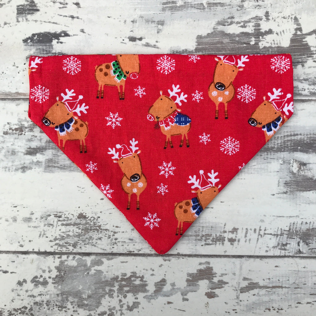 Cheeky Reindeer Bandana